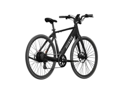 Soltera 2.5 E-Bike