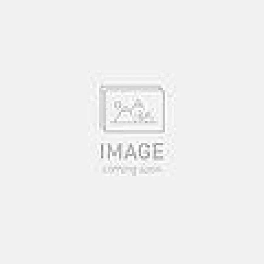 Specialized traverse sl ii 1/1 6b wheel carbon/black 29 rear