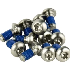 SRAM Titanium T25 Rotor Bolt Kit - Silver Set of 12