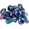 SRAM Titanium T25 Rotor Bolt Kit - Rainbow Set of 12