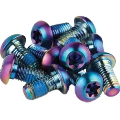 SRAM Titanium T25 Rotor Bolt Kit - Rainbow Set of 12