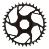 SRAM T-Type E-MTB Chainring Brose CL55 36t Blk/Slv