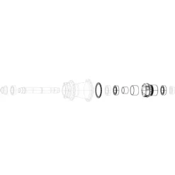 SRAM XD Freehub Body Bearings - 11/12 Speed X0 Hubs Rise 60 B1 Roam 30 Roam 40 Rail 40 Rise XX Roam 50 B1 Roam 60 B1