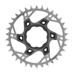 SRAM XX T-Type E-MTB Chainring TQ Direct Mount 34t Blk/S