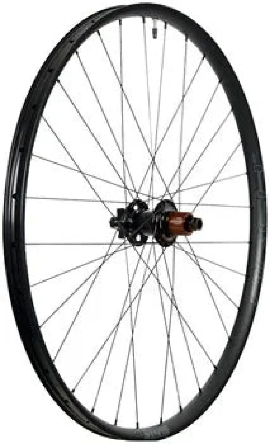 Stan's No Tubes Arch MK4 Rear Wheel - 29, 12 x 148mm, 6-Bolt