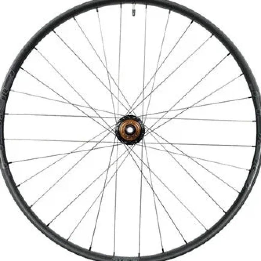 Stan's No Tubes Arch MK4 Rear Wheel - 29, 12 x 142mm, 6-Bolt, HG11