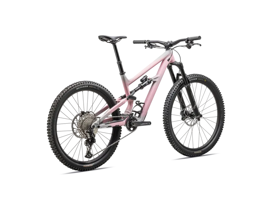 STATUS 2 140 (2025)