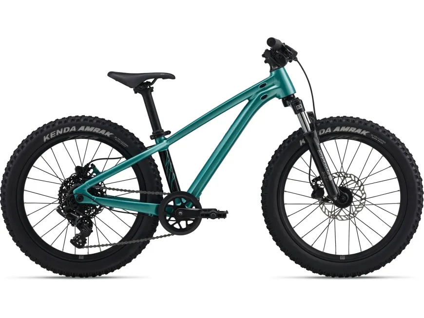 STP 20 FS