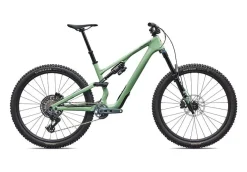 Stumpjumper 15 EVO Expert AXS