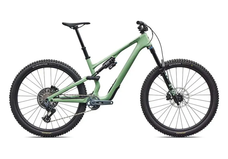 Stumpjumper 15 EVO Expert AXS