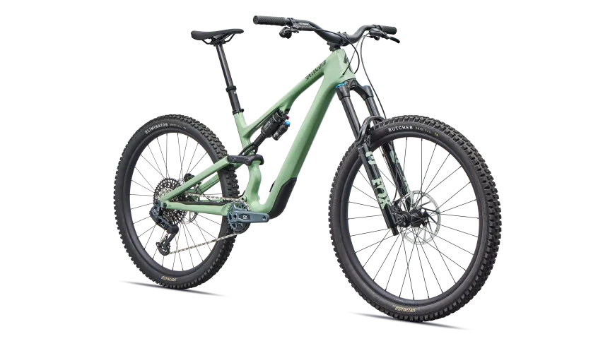 Stumpjumper 15 EVO Expert AXS