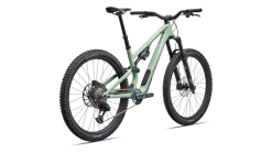 Stumpjumper 15 EVO Expert AXS