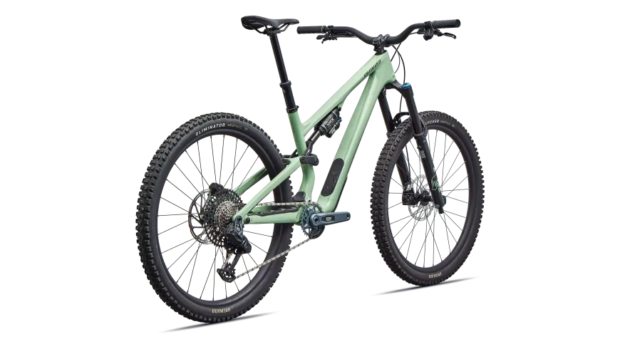 Stumpjumper 15 EVO Expert AXS