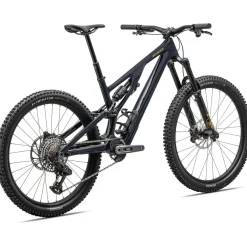 Stumpjumper EVO Expert T-Type (2024)