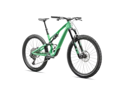 Stumpjumper 15 Expert (2025)