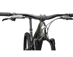 Stumpjumper 15 Expert (2025)