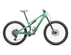Stumpjumper 15 Expert (2025)
