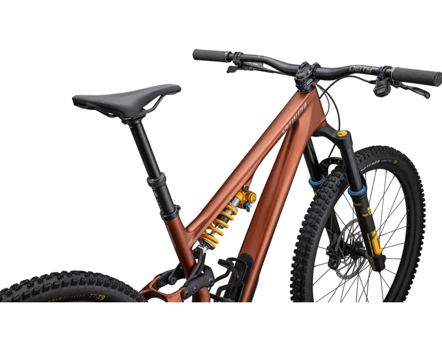Stumpjumper 15 Öhlins Coil (2025)