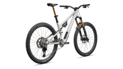S-Works Stumpjumper 15 EVO Di2 (2026)