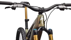 S-Works Turbo Levo 4 (2026)