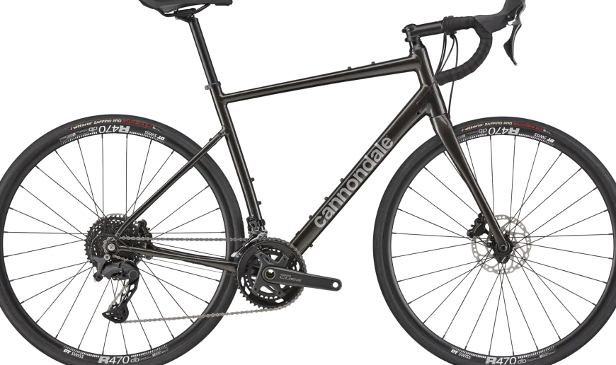 Synapse 2