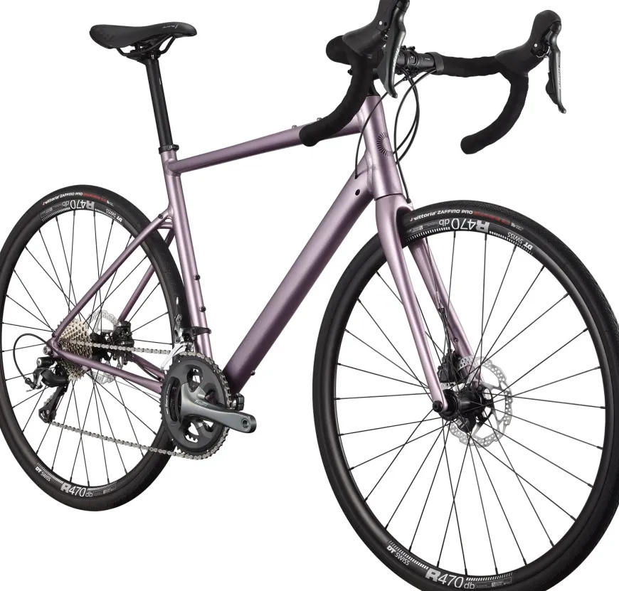 Synapse 2