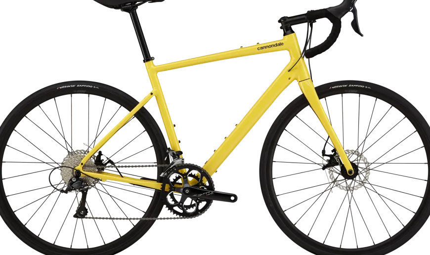 Synapse 3
