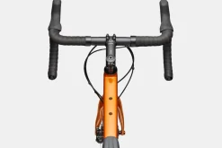 Synapse 2