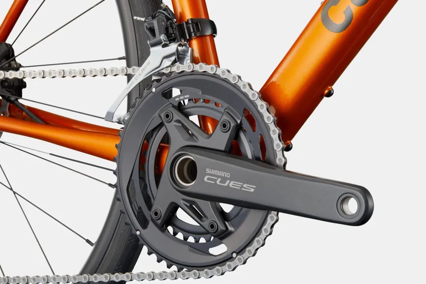 Synapse 2