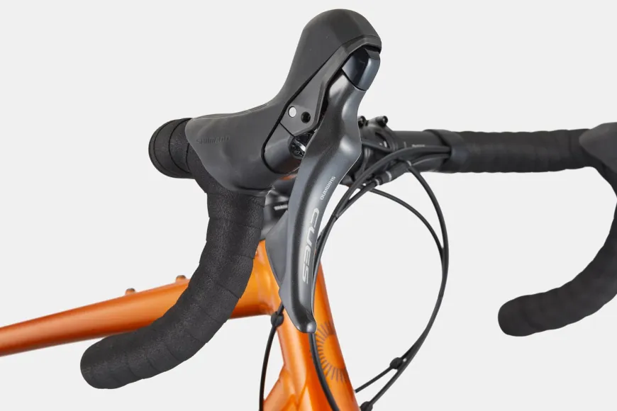 Synapse 2
