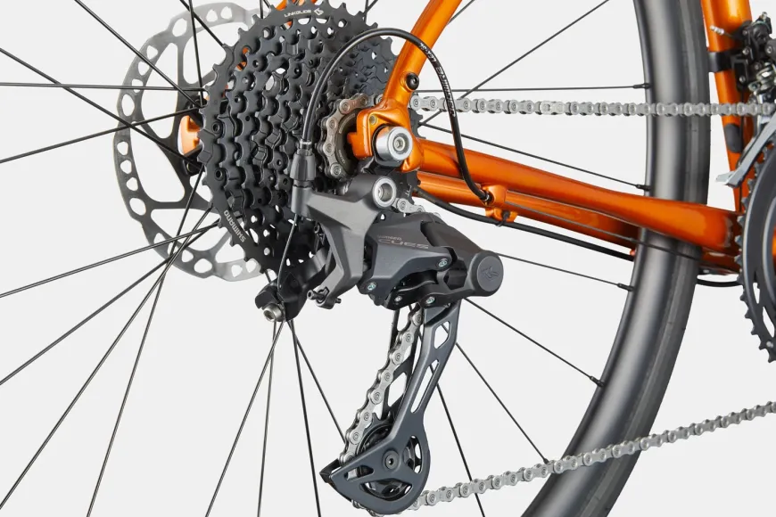 Synapse 2
