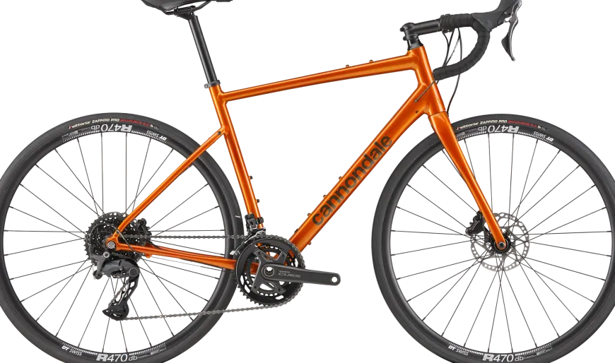 Synapse 2