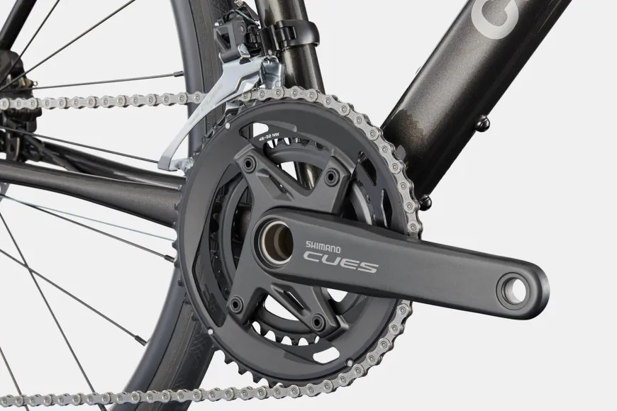 Synapse 2