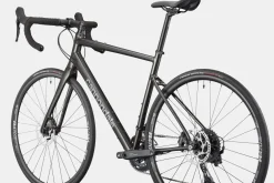 Synapse 2