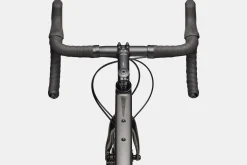 Synapse 2
