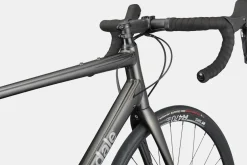 Synapse 2