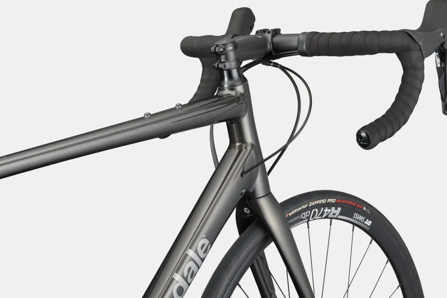 Synapse 2