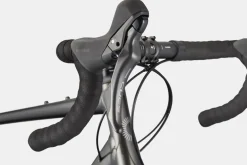 Synapse 2