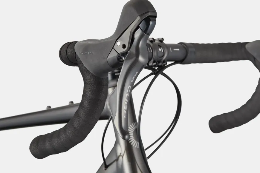 Synapse 2
