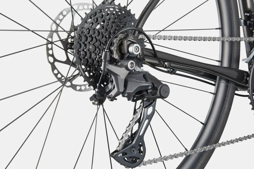 Synapse 2