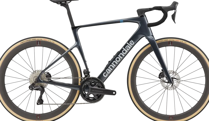 Synapse Carbon 1