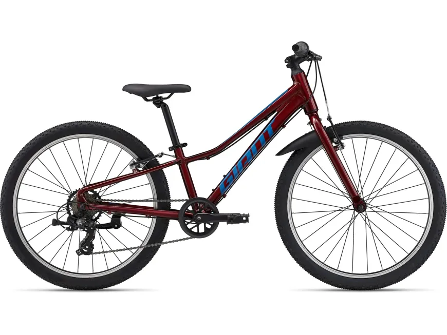 Talon 24 Lite