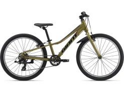 Talon 24 Lite