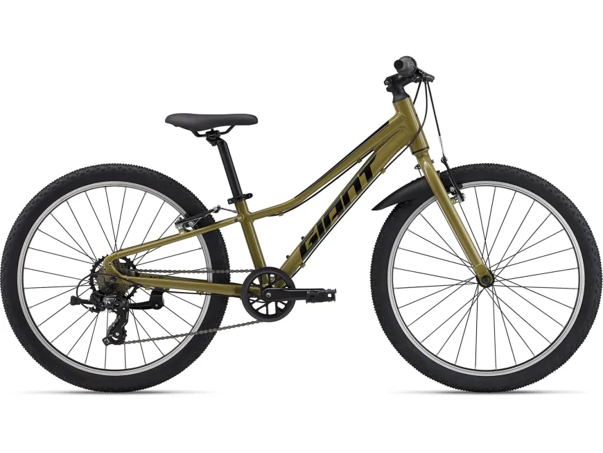 Talon 24 Lite