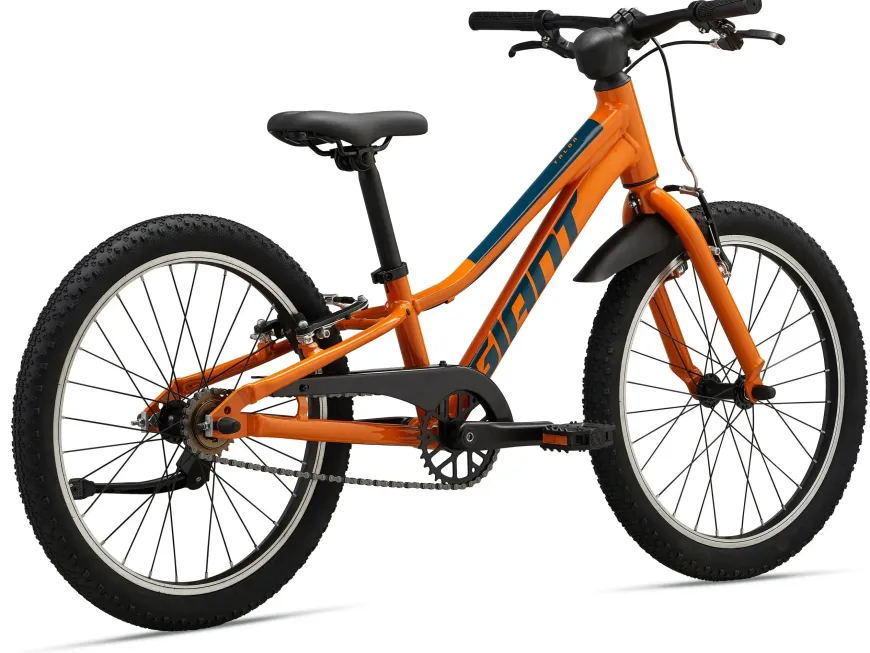 Talon 20 SS (2025)