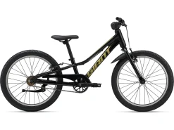 Talon 20 SS (2025)