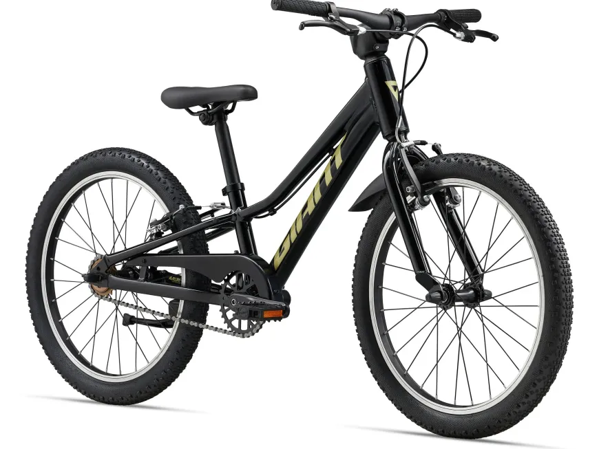 Talon 20 SS (2025)