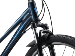 Tempt 24" Disc