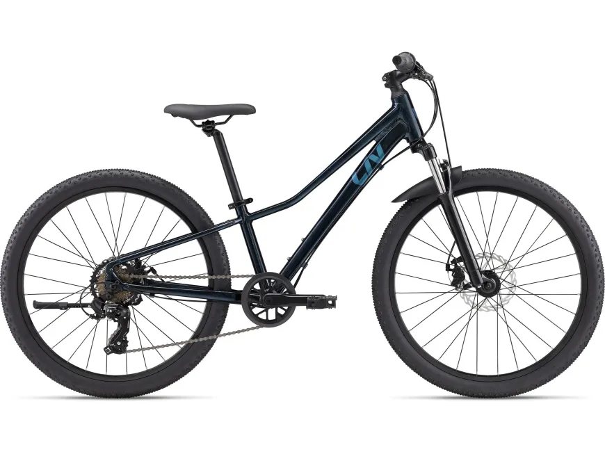 Tempt 24" Disc