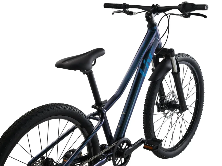 Tempt 24" Disc